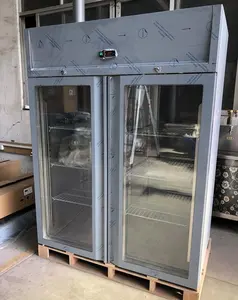 2-türiger Glas-Reach-In-Kühlschrank für gewerbliche Edelstahl-Küchen-Gefrier schrank