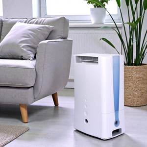 Déshumidificateur léger DD6 pour la maison - personnalisation disponible - Product Image 1