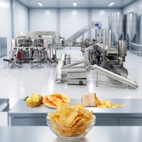 Ligne de production de chips de pommes de terre 200 kg/h, usine multifonctionnelle de snacks incluant les étapes de pelage, de découpe, de blanchiment et de friture
