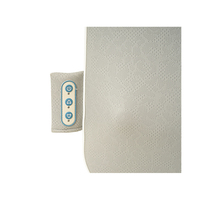 Shiatsu — coussin de Massage thermo-roulant, pour tablette thermique, nouvelle collection, dc 12v 2A