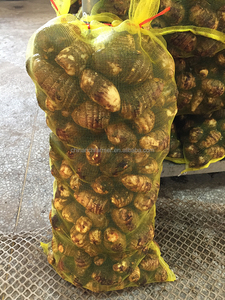 <span class=keywords><strong>Taro</strong></span> Fresco 2026 Nuovo Raccolto di Alta Qualità <span class=keywords><strong>Taro</strong></span> <span class=keywords><strong>Cinese</strong></span> per Cucina e Lavorazione - Product Image 5