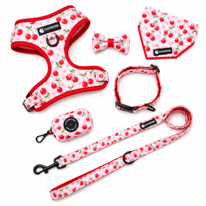 Conjunto de Arnés para Perro con Estampado Personalizado OEM, Arnés Ajustable de Neopreno, Collar, Correa y Pañuelo para Perros Pequeños y <span class=keywords><strong>Medianos</strong></span>, y Gatos - Product Image 1