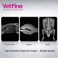 Système de radiographie numérique portable sans fil pour animaux, machine de radiographie DR pour clinique vétérinaire, hôpital, diagnostic