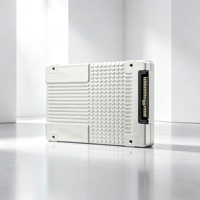SSD U.2 NVMe Enterprise 6.4TB SSDPE2KE064T8 2.5" SFF Internal Solid State Drive untuk Penyimpanan Pusat Data Server