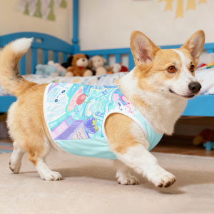 Low MOQ OEM Cartoon <strong>Dog</strong> Vest Lightweight Mesh Fabric Custom <strong>Dog</strong> Vest Manufacturer <strong>Dog</strong> Clothing - Product Image 4