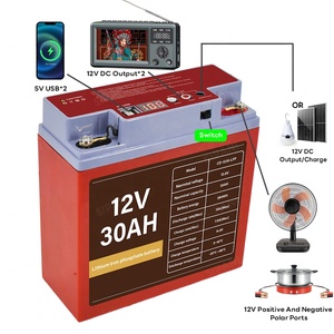 סיטונאי מחיר זול lifepo4 12v 30a-200ah סוללה ליתיום יון חבילה עם <span class=keywords><strong>5v</strong></span> usb 12vdc ספק כוח פלט 300w-2000w - Product Image 5