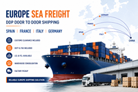 Agent maritime européen DDP, transitaire de fret depuis la Chine, service d'expédition porte-à-porte LCL+Express, transit en 25-45 jours, assurance.