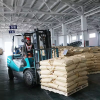 Bubuk Xanthan Gum Kelas Industri CAS 11138-66-2 Viskositas Tinggi 80/200 Mesh Pengental Pengeboran Minyak Kemurnian 99% Kantong 25kg