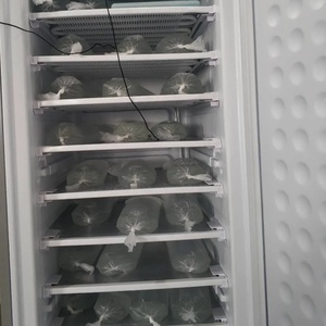 Máquina de Hielo Solar Comercial BD198 de 24V, 10 Capas, Batería de Gel, 70kg/24 Horas, para África, BD-198, 7 Capas, Comercial - Product Image 3