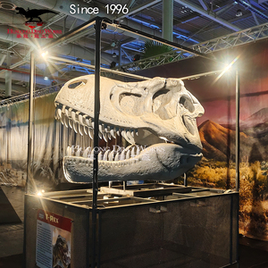 Fiberglass Dinosaur Skeleton Display T <strong>Rex</strong> Fossil Replica Museum Exhibition Decoration - Product Image 1