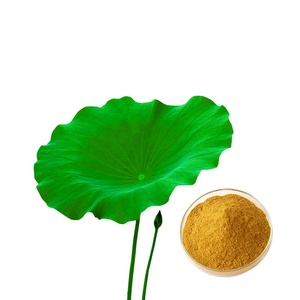Bubuk ekstrak daun teratai alami organik suplemen nukferin untuk penurunan berat badan Vitamin aktif ramuan botol Halal - Product Image 4
