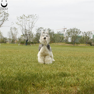 Schnauzer <span class=keywords><strong>miniature</strong></span> de chien mignon de taille réelle pour le cadeau et les accessoires de voiture décor à la maison décoratif intérieur - Product Image 2