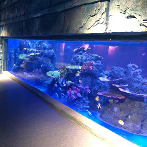 Acuario Personalizado de Alta Transparencia, Cristal Brillante Resistente a los Rayos UV, Acrílico Resistente, Rectangular, 600L, Pecera Grande, Mundo Oceánico - Product Image 3