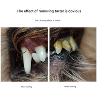 Vente en gros de brosse pour animaux domestiques, nettoyage buccal par ultrasons, produit de blanchiment des dents pour chien, chat, élimination du tartre, protection des gencives