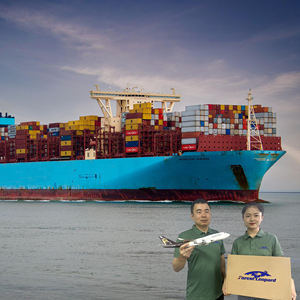 Services de Fret Aérien Transitaire Dropshipping Livraison Porte-à-Porte de la Chine vers FBA États-Unis Europe - Product Image 1