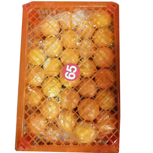Prezzo Arance Mandarino Fresche di Grande Successo - Product Image 6