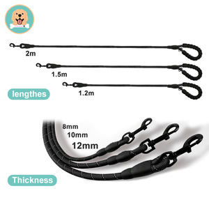 Dropshipping 2024 vendita all'ingrosso Multi colori prodotti per animali domestici riflettente guinzaglio per cani e gatti al sicuro durante la notte - Product Image 2