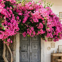 Guirlandes de fleurs de bougainvillier artificielles faites à la main, bougainvilliers artificiels grimpants pour mariage, Saint-Valentin, maison, commerce, centre commercial