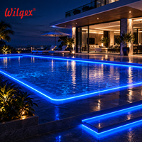 Bande lumineuse LED néon double face entièrement personnalisable, longueur, tension, température de couleur, IP68 pour aménagement extérieur