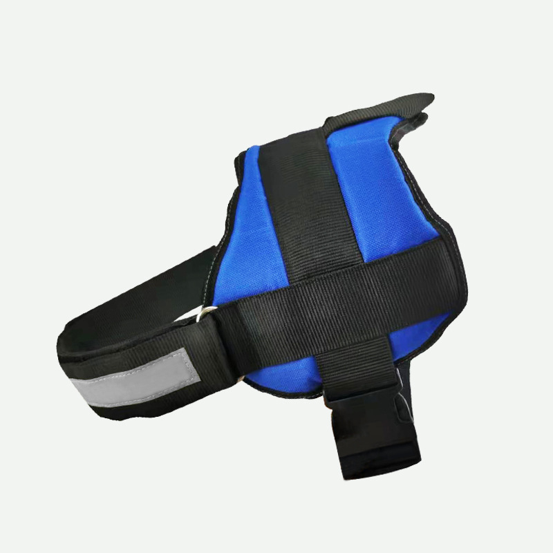 bleu