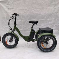 Tricycle électrique de 20 pouces à entraînement central, 48V, vélo à panier arrière à 3 roues avec gros pneus, vélo de montagne électrique pour la conduite hors route