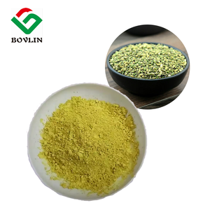 Polvere di Quercetina Liposomiale di Grado Alimentare, Integratore per la Salute, Estratto di Sophora Japonica con Confezione in Bottiglia, Fornitura del Produttore - Product Image 2