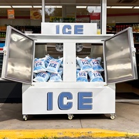 Congélateur vertical commercial à 2 portes, à température unique, pour glace en sac, avec bac de stockage, construction en acier inoxydable, isolation de 65 mm d'épaisseur