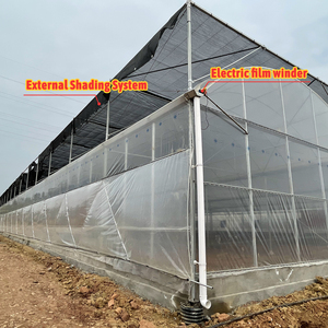 Serre polytunnel BAOLIDA, serre de culture sous abri, serre en verre multi-chapelles, serres connectées - Product Image 5