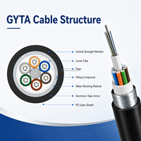 Câble à fibre optique blindé extérieur GYTA 2 fibres à tube lâche G.652D/G.657A1 pour réseaux de télécommunications/FTTx/ISP