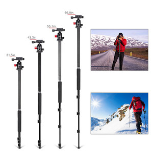 ZOMEI M6 chuyên nghiệp Monopod với bóng Đầu chân máy giải pháp - Product Image 3