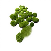 Blok Lumut Simulasi Bryophytes, Batu Penanam Rumput, Dekorasi Rumput Buatan, Lembut, Untuk Penggunaan Dalam/Luar Ruangan, Pernikahan, Luar Ruangan