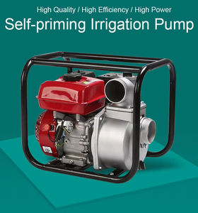 Bomba de agua de motor de gasolina portátil de 2 pulgadas y <span class=keywords><strong>3</strong></span> pulgadas 6.5HP Motor diésel de gasolina - Product Image 2