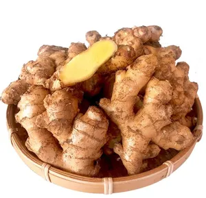 High quality hot selling product Chinese ginger /ginger China