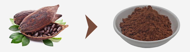 Lowest Price Bulk Cocoa Powder