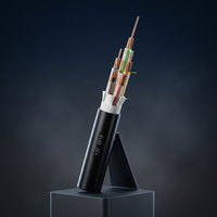Cable de Alimentación VV con Aislamiento de PVC y Cubierta de Cobre de 0.6/1kV para Ferrocarril, Metro, Transporte por Vía Férrea, Señalización, Tracción y Suministro de Energía