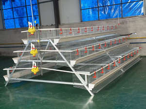 Jaula para Pollos Galvanizada por Inmersión en Caliente de Fábrica, 3 Niveles, 120 Pollos - Product Image 2