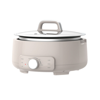 Marmite de cuisson électrique en acier inoxydable de 4 L pour cuisine, vente en gros OEM