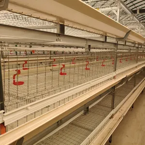 Hot Sale Semiautomatic Chicken Battery Cages Farm Modern in nigeria