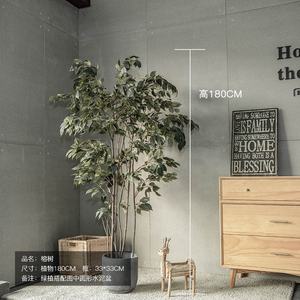 Árbol de hoja en maceta de 6 pies o 1,8 M de alto, helecho Yucca, eucalipto - Product Image 1