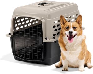 Cage de transport portable Petmate <span class=keywords><strong>Vari</strong></span> pour chiens de taille moyenne, compatible avion, en plastique durable, écologique et verrouillable - Product Image 5