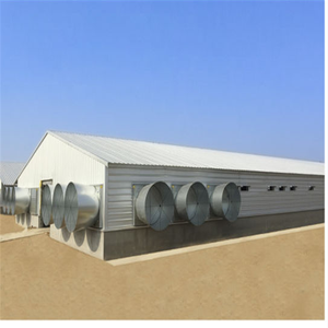 Conception de ferme de volaille de poulet de structure en acier préfabriquée moderne 1000 couches de maisons de poulets d'oeufs hangar de poulailler <span class=keywords><strong>à</strong></span> <span class=keywords><strong>vendre</strong></span> - Product Image 6