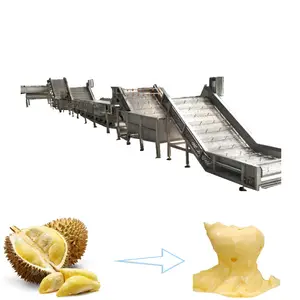 Machine de traitement de la pâte à base de fruits, g, offre spéciale depuis l'usine