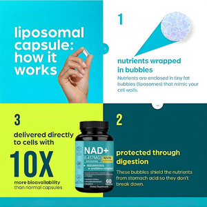 NAD+ 8457mg Complexo de Resveratrol Urolithin-a 60 Cápsulas Fórmula Avançada com COQ10 APIGENINA ALA PTEROSTILBENE ASTAXANTINA - Product Image 4