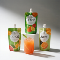 Sachets d'emballage Doypack à bec verseur, personnalisés, imprimés, en plastique laminé barrière, de 150 ml, 200 ml, 300 ml, pour jus, boissons et purées