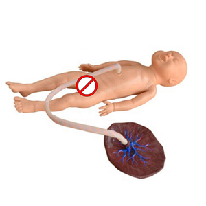 <span class=keywords><strong>Model</strong></span> Perawatan Tali Pusat Bayi Neonatal Lanjutan yang Realistis untuk Praktik Keperawatan - Product Image 3