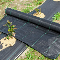 Nouveau design de tissu de paysage de qualité supérieure moule de service de traitement de coupe UV tapis de contrôle des mauvaises herbes en plastique PP de haute qualité