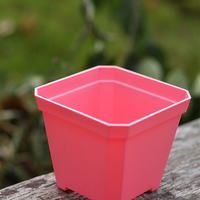 Macetas Cuadradas de 10 cm para Plántulas, Vasos de Plástico para Semilleros, Contenedores para Plantas y Flores, Macetas para Cultivo en Jardín