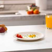 Vaisselle jetable écologique et biodégradable en canne à sucre, assiettes en pulpe de bagasse carrées et rondes pour fêtes, camping et traiteur