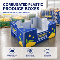 Boîte en plastique ondulé PP avec dessus ouvert et taille personnalisée pour l'affichage des fruits et légumes en supermarché