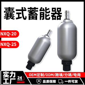 Acumulador de Presión Hidráulico de Bolsa de Aire NXQA20/25L 10-31.5MPA de Acero Aleado Tipo Sac para Metalurgia, Construcción, Minería y Petroquímica - Product Image 5